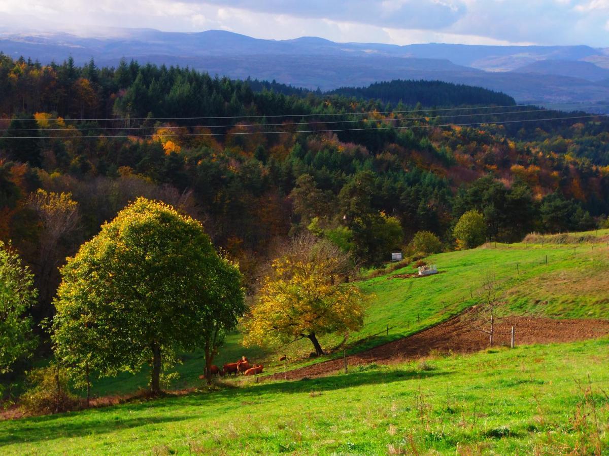 Le Vallon D'Armandine, Gite Ecologique Auvergne Saint-Hilaire  ภายนอก รูปภาพ