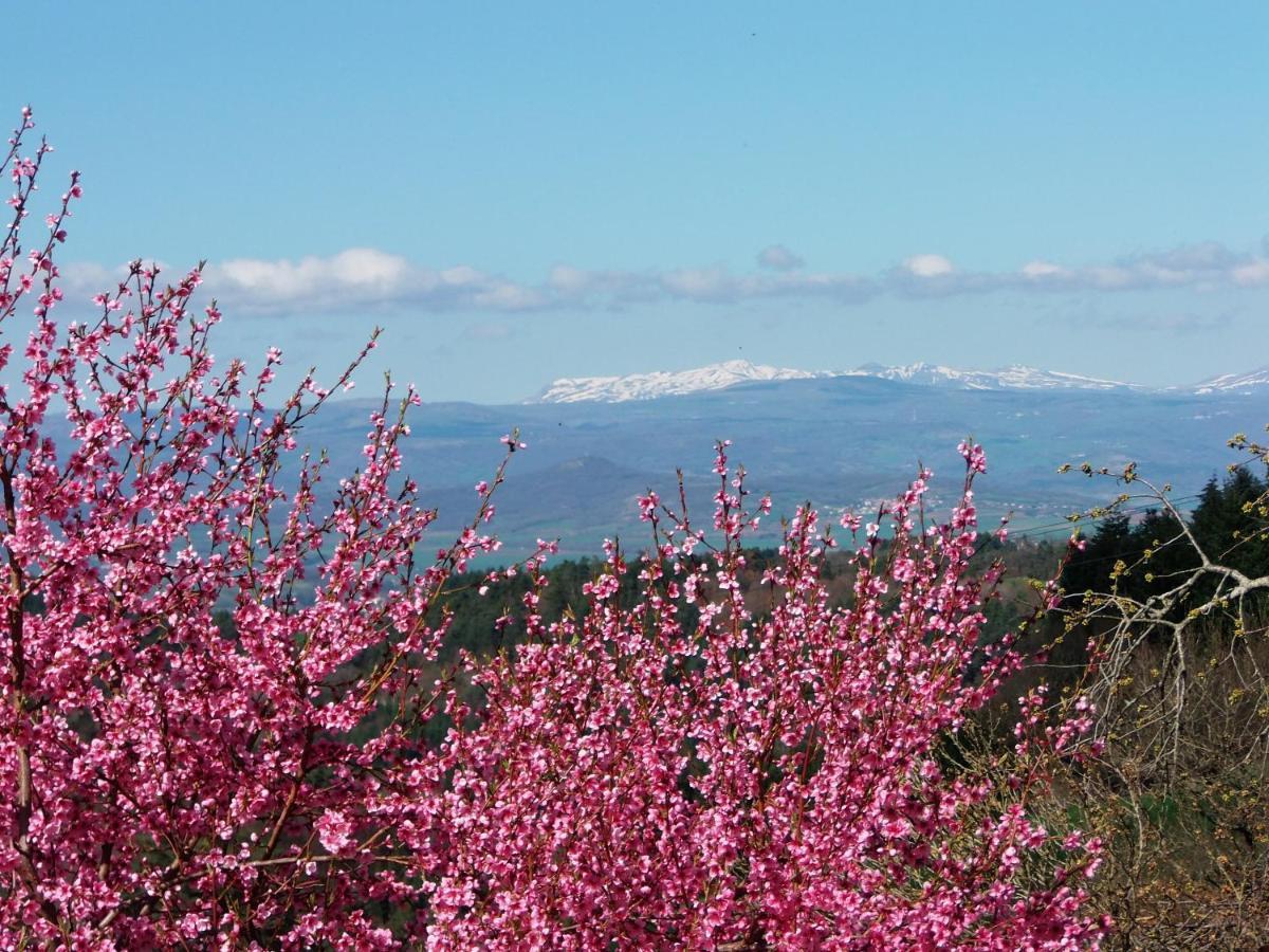 Le Vallon D'Armandine, Gite Ecologique Auvergne Saint-Hilaire  ภายนอก รูปภาพ