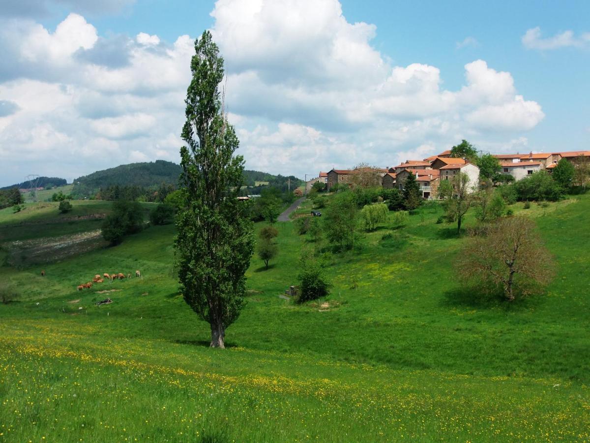 Le Vallon D'Armandine, Gite Ecologique Auvergne Saint-Hilaire  ภายนอก รูปภาพ